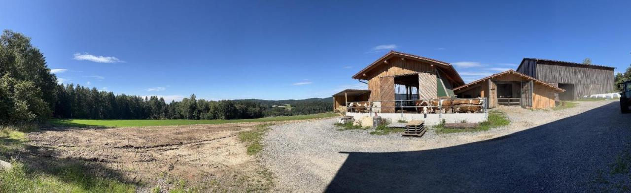 Landgasthof Blasini - Pfahlhof Цандт Экстерьер фото