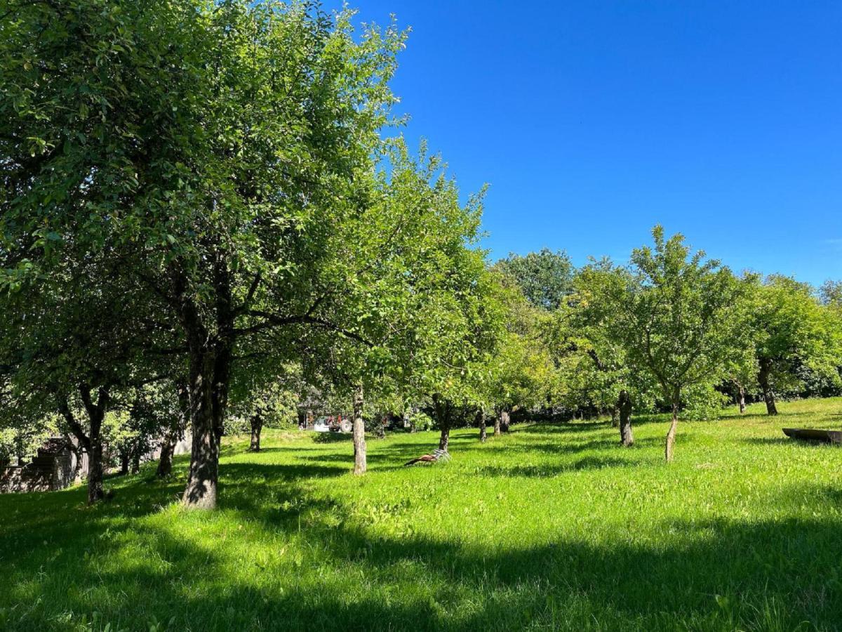 Landgasthof Blasini - Pfahlhof Цандт Экстерьер фото